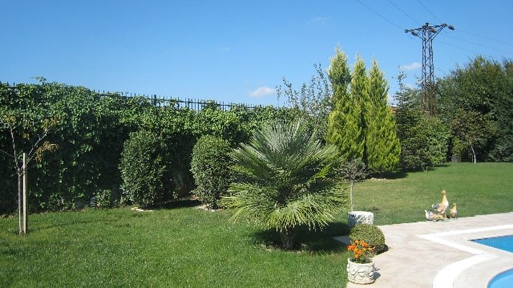 TUR725 Buyukcekmece, Istanbul